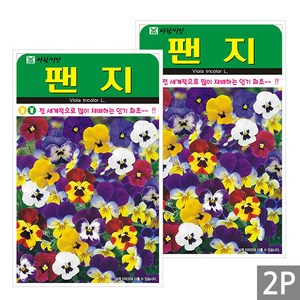 세인화분 미니 팬지 200립 - 삼색 제비꽃 야생화 꽃 씨 씨앗, 2개