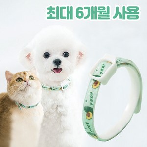 반려사이 강아지 진드기 퇴치제 목걸이 6개월 지속 고양이, M (20kg 까지 착용 가능), 1개