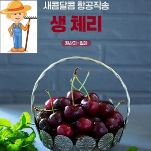 [칠레 항공 직배송][프리미엄 등급] 최고당도 9.5R 10.5R 생체리 특대 대 사이즈, 1세트, (특대) 500g