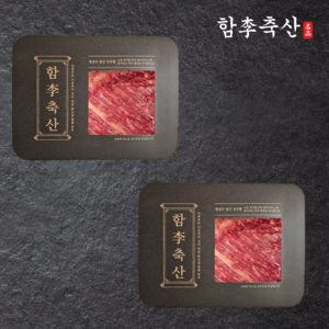 [당일발송] 부드럽고 고소한 1++등급 투뿔 프리미엄 한우 양지(냉장), 2개, 300g