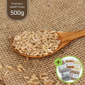 건강알곡 깐귀리 500g 앵무새 햄스터 영양간식 사료, 1개