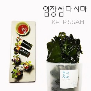 염장 쌈다시마 5kg 1봉, 1개, 5kg(1개)