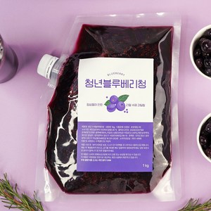 청년수제청 과일청 자일로스 수제 블루베리청, 4개, 500g