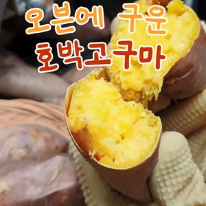 셋째딸농부 군고구마 냉동 아이스 호박고구마 실속포장, 1kg, 2개