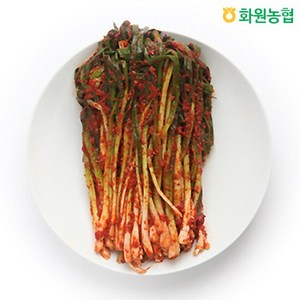 [화원농협]이맑은김치 파김치 1kg, 1개