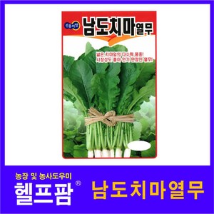 헬프팜 남도치마열무 30g 종자 열무 씨앗 진흥종묘, 1개