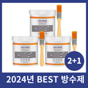 바르다케미칼 침투형 바르는 방수제 셀프 옥상 투명 발수 외벽 욕실, 3개, 300g