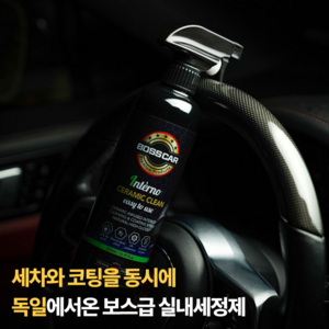 보스카 차량 실내세정제 코팅제 올인원 시트 가죽 코팅제 독일정품, 1개, 500ml