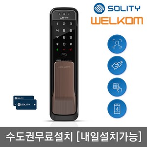 [수도권설치-내일도 가능] 웰콤 얼굴안면인식 WP-500A 무타공 푸시풀 카드키2+번호키 블루투스(옵션) 빠르고 편리한 3D 얼굴인증 현관문 디지털도어락 즉시잠김 허수기능, 무료설치(A지역)-화요일, 웰콤 WP-500A, 방문설치