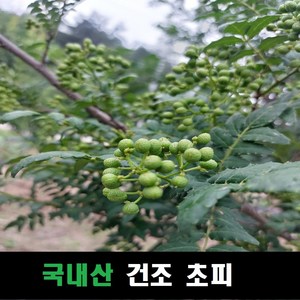 건조 초피열매 국내산, 1개, 300g