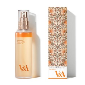 V&A Beauty 안티옥시던트 래디언스 미스트 100mL, 1개