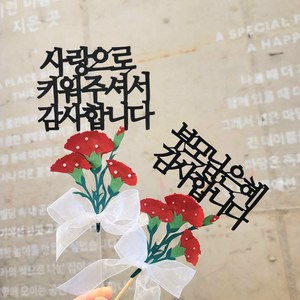 카네이션토퍼 어버이날토퍼 스승의날토퍼, 부모님은혜 감사합니다, 레드, 1개