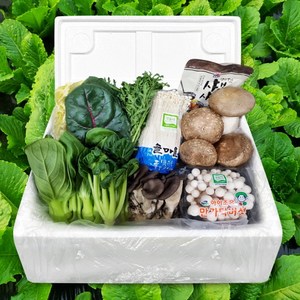 [딜픽]당일수확 모듬 쌈채소&샤브샤브 야채버섯 세트/로메인/적상추 600g/1kg, 샤브샤브용 모듬야채버섯세트 1kg내외/육수포함, 1개, 600g