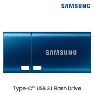 삼성전자 Flash Dive Type-C MUF-256DA / APC USB 메모리, 256GB