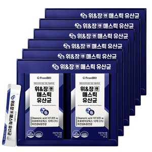 [본사기획세트]위&장엔 매스틱 유산균 위건강 매스틱검 프로바이오틱스, 위&장엔 매스틱 유산균 15포x12박스, 6세트, 30회분
