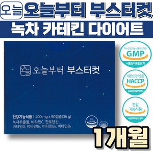 오늘부터 부스터컷, 90정, 1개