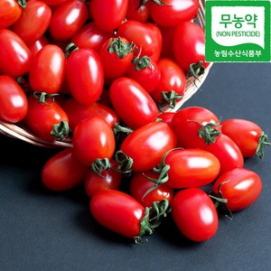 [달찐과일] 무농약 대추방울토마토 1kg (1-3번과) 당일수확발송 농협 로컬푸드, 1개