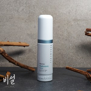 르네셀 앱소버 히알루로닉 세럼, 30ml, 1개