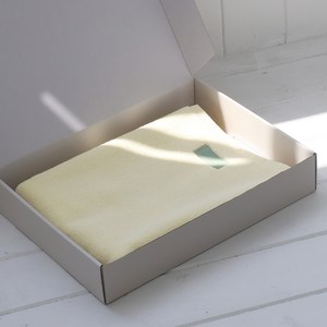 [레미제이] 레몬 풋매트 (1p+미끄럼방지패드/패키지포장)70x50 450g 초고중량, 레몬풋매트 (+미끄럼방지패드) 1EA, 1개