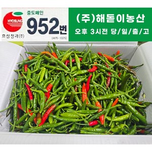 해돋이농산 국내산 청양고추 매운고추 못난이고추 1kg 2kg 3kg 5kg 10kg(반홍), 1개