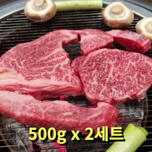 [빌리푸드] 1++ 한우 구이용 등심+살치살+갈비살+업진살+부채살, 2세트, 500g