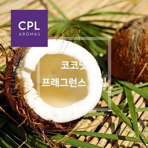 코코넛 프래그런스오일 20ml 500ml 영국 CPL 아로마 캔들 디퓨져 재료, 1개