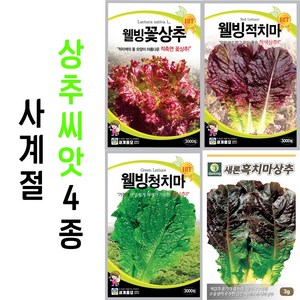 사계절용 상추씨앗 4종 세트 봄 가을 9월 채소씨앗 파종 종자, 1개