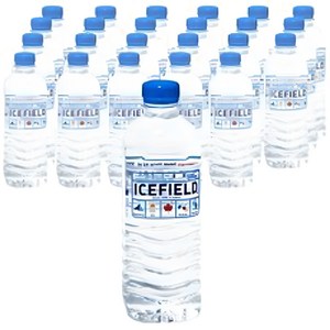 유통기한임박 반품불가 아이스필드 500ml*24병, 500ml, 24개