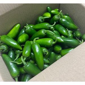 [선호네] 산지당일발송 국산 할라피뇨고추 1kg2kg5kg10kg 멕시칸고추 고추피클 고추짱아찌 할라피뇨 고추 할라피뇨 피클 생할라피뇨고추 할라피뇨 할라피뇨고추 퍼팩트고추, 5kg, 1개