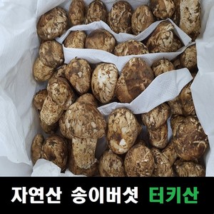 송이버섯 자연산 냉동송이버섯 터키산, 조각, 조각 1kg, 1개