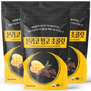 본리코 건망고 다크 초코 100g 3개