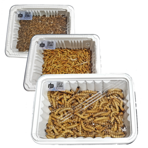 [특별행사] nb밀웜 살아있는 밀웜 - 일반밀웜 슈퍼밀웜 버팔로웜, 1.일반밀웜, 소(1.5cm 전후), 500+500마리, 1세트