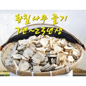 황칠나무 약재( 뿌리 / 줄기 / 잎 ), 1kg, 1개