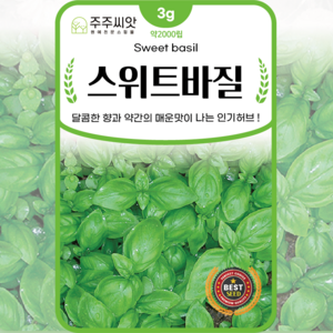 솔림텃밭몰 스위트바실씨앗 3g 스위트바질 바질 바실 허브씨앗, 1개