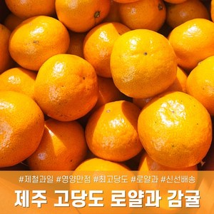 [다정한과일] 최고당도 프리미엄 로얄과 제주 감귤, 1박스, 제주 가정용 L 2KG