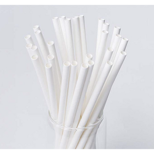 제이스톤 벌크 포장 화이트 일자 친환경 종이 빨대 스트로우 6mm / 21cm, 1개, 100개
