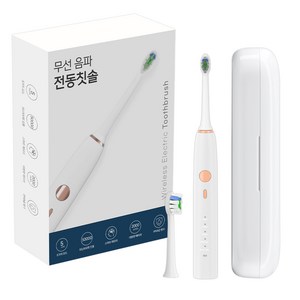 컴프라이프 씨앤케어 무선 음파 H600+ 전동칫솔, CP3002, 민트, 1개