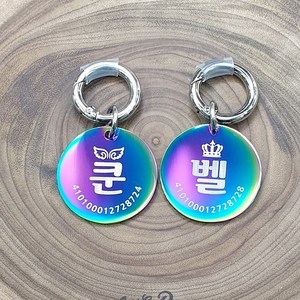 레인보우 강아지 인식표 써지컬 펜던트 레이저 각인 목줄 이름표, C, 1개