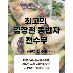 천수무 3~9수 5kg 19 000원, 1개