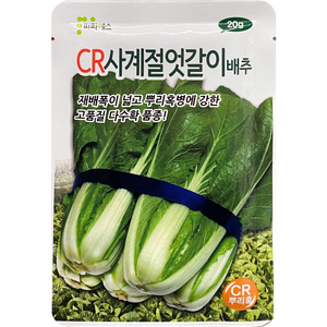 CR사계절 엇갈이 배추씨앗 20g, 1개