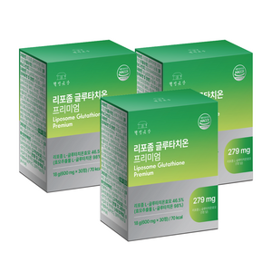 웰빙곳간 리포좀 글루타치온 프리미엄 600mg, 3개, 30정