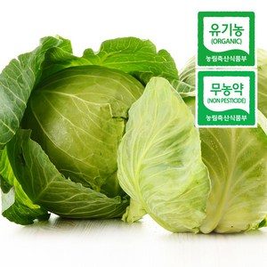 친환경 무농약 양배추 국내산 맛있는 양배추, 친환경 양배추 4kg, 1개