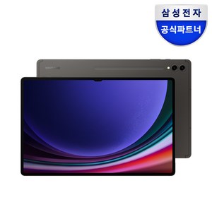 삼성전자 갤럭시탭 S9 울트라, 그라파이트, 256GB, Wi-Fi