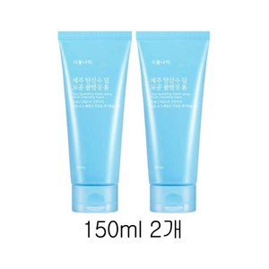 식물나라 제주탄산수 딥 클렌징폼300ml, 300ml, 1개