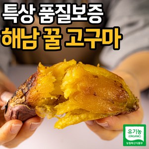 [특품] 해남 고구마 밤 호박 베니하루카 꿀고구마, 1개, 3kg(특상)