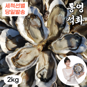 통영 석화 굴 1급청정해수 당일산지직송, 1개, 2kg