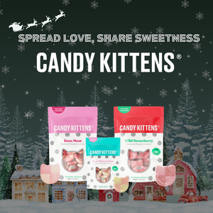 [스웨디시 젤리] CandyKittens 캔디키튼스 비건 젤리 선물 3종 A세트 사우어워터멜론(54g) 와일드스트로베리(140g) 이튼메스(140g), 1개