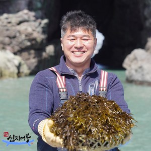 완도산 당일채취 산지직송 명품 생톳 1kg 2kg /최상급 신선한 생톳, 1개