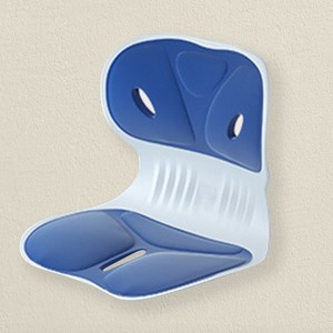 학생 바른자세 허리 의자 등받이, 블루
