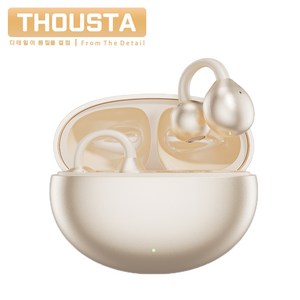 THOUSTA 고음질 HiFi 노이즈캔슬링 오픈형 블루투스 V5.4 이어폰 귀걸이형, 스킨